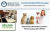 Animal Hospital Mississauga Hours Emergency Bristol Veterinary Hospital Image
